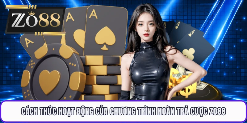 Cách thức hoạt động của chương trình hoàn trả cược ZO88