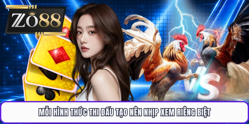 Mỗi hình thức thi đấu tạo nên nhịp xem riêng biệt