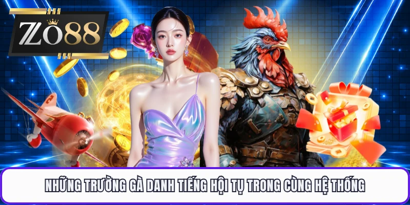 Những trường gà danh tiếng hội tụ trong cùng hệ thống